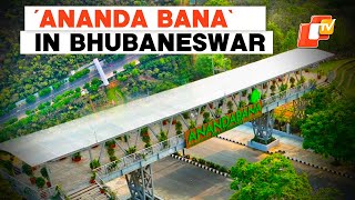 Bhubaneswar’s Urban Forest ‘Ananda Bana’ Promises Denizens A Stress-Free Time Under Nature’s Lap