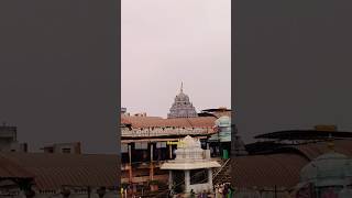 వేములవాడ రాజన్న 🙏 #vemulawada #vemulawadatemple #vemulawadanews #telangana #ytshorts #trendingvideo