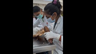 Dissection competition In KGMC👩‍⚕️  #medical #medschool #kgmu #anatomy #neet #motivation