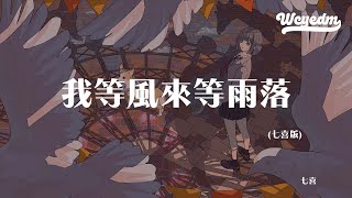 七喜 - 我等风来等雨落 （七喜版）「冬雪飘啊风儿绕 等不到你的拥抱」【動態歌詞/pīn yīn gē cí】#七喜 #我等风来等雨落 #動態歌詞