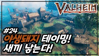 #24 야생돼지 테이밍! 새끼 낳는다! Valheim(발하임)