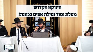 הינוקא הרב שלמה יהודה - נפילת אפיים וכמה צריך לאומרה בכוונה