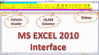 MS Excel 2010 Interface