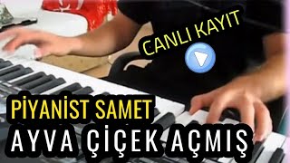 Piyanist SAMET - AYVA ÇİÇEK AÇMIŞ (ayva cicek acmis) rumeli