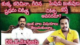 Dr.M.Rajesh | కుక్క కరిస్తే ఎం చేయాలి | Dog Bite Treatment In Telugu | Kalyan kl vlogs