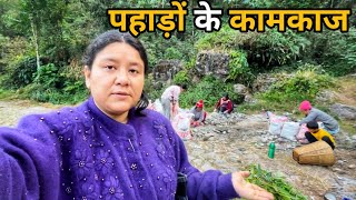 आज किया खूब मेहनत भरा काम || Darjeeling Village Lifestyle Vlog || Sushmita Chettri Vlog