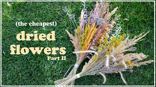 Gorgeous Dried Flowers for Cheap 💐 How to Make your Own (colored) Bouquet EASY