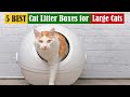 Best Cat Litter Boxes for Large Cats of 2024 [Updated]