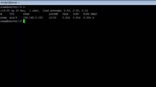 Linux - w Command - w3resource