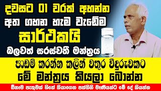 දවසට 01 වරක් අහන්න අත ගහන හැම වැඩේම සාර්ථකයි|යක්කු අල්ලන් ගෙදර ගෙනියන වෙදමහතා|බලවත් සරස්වතී මන්ත්‍රය