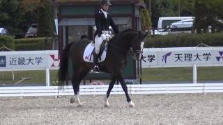 H26　全日本学生馬術三大大会　馬場馬術　予選　2年　沖廣諒一　桜憧