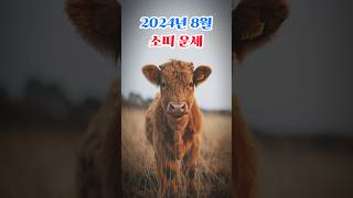 [운세] 2024년 \