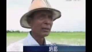 20080801 慈濟志工發肥料 有助緬甸稻米豐收