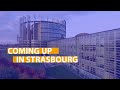 Coming up in Strasbourg: MEPs take their seats after elections