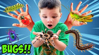 MYSTERY BUG CATCHING!!! Caleb Looks for GROSS BUGS and INSECTS with Kids EXPLORER HUNTING KIT!