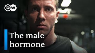 Testosterone — new discoveries about the male hormone | DW Documentary