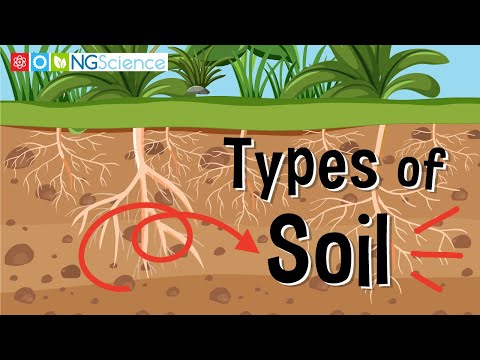 What is the 4 types of soil?