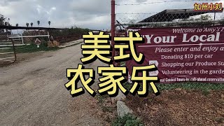 【小刘】美式农家乐