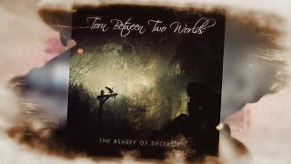 Torn Between Two Worlds - The Beauty Of Deception - Official Lyric Video