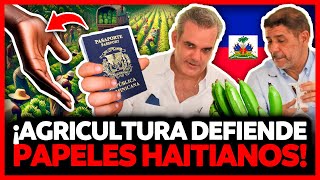 PRO HAITIANO LIMBER CRUZ PROPONE LEGALIZAR HAITIANOS PLATANERO POR ABINADER Y MINISTERIO AGRICULTURA