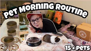 MY MORNING ROUTINE W/ 15+ ANIMALS😴🐾