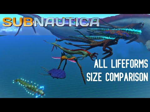 Subnautica – SIZE COMPARISON OF ALL LIFE FORMS SIDE BY SIDE