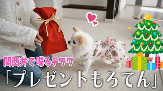 【関西弁でしゃべる犬】世界に一つだけのクリスマスプレゼントもろてん！