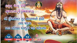 શ્રી ધુંધળીમલ ગુરૂ મહારાજ પ્રાણ પ્રતિષ્ઠા મહોત્સવ જલયાત્ર, શોભાયાત્રા