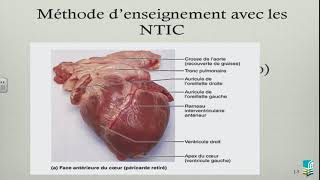 L'enseignement de l'anatomie et de la physiologie du corps humain