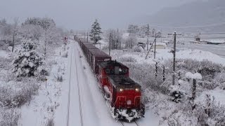 【玉ねぎ列車】冬景色の瀬戸瀬駅