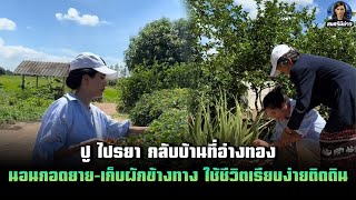 ปู ไปรยา กลับบ้านที่อ่างทอง นอนกอดยาย-เก็บผักข้างทาง ใช้ชีวิตเรียบง่ายติดดิน