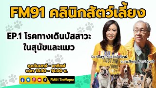 โรคทางเดินปัสสาวะในสุนัขและแมว EP.1 : FM91 คลินิกสัตว์เลี้ยง : 26 มิถุนายน 2564