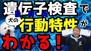 愛犬の遺伝子を検査してみる？遺伝子検査キットって商品が簡単に買えるんだって。【前編】