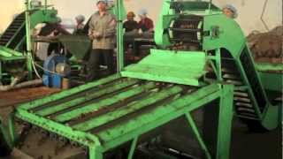 OLAM CASHEW VIETNAM - Cutting Machine