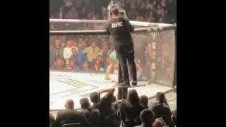 Конор МакГрегор vs Ковбой Серроне | UFC 246