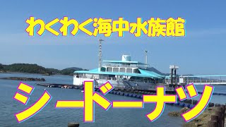 わくわく海中水族館シードーナッツ：：天草の穏やかな海に浮かぶ「巨大なドーナツ型の船の中にある水族館」です。天草五橋の四号橋の沖に位置しています。イルカとのふれあいがなんともいえません。