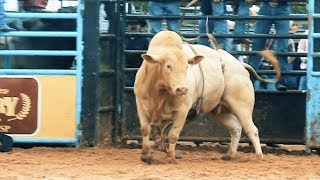 Bastidores e Semifinal - RADAR CRP 2018