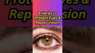8 Herbs to Protect Eyes and Repair Vision #eyes #vision #eyesight #eyehealth #herbs #eyecare #shorts
