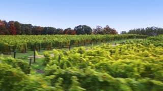 Leelanau Wine Cellars Tour Aerial Video - Traverse City, Michigan