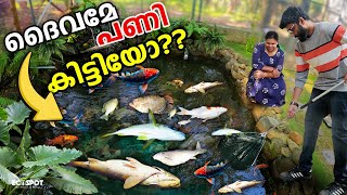 💥😢മീനുകള്‍ക്ക് എല്ലാം പണി കിട്ടി!!!!  FREE ആയി കൊടുക്കുന്നു | Giving Fish for Free to Subscribers