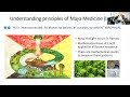 maya ethnomedicine the role of plants and sunlight in an indigenous one health approach