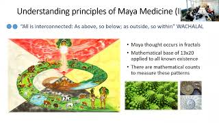 Maya ethnomedicine: the role of plants and sunlight in an indigenous One Health approach