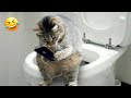 Funniest Animals 2024 😂 New Funny Cats and Dogs 😻🐶 Part 25