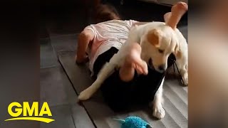 Dog joins girl during yoga workout l GMA