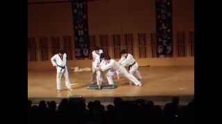 tkd--bat breaking テコンドー Taekwondo kick バット割り 蹴り Wesleyan