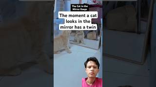 The moment a cat looks in the mirror has a twin #cat #catshorts #funnycats