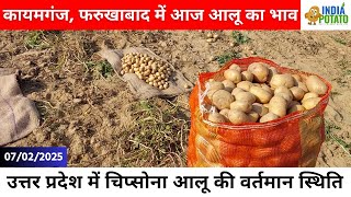 07/02/2025 : कायमगंज, फरुखाबाद में आज आलू का भाव | Potato Price in UP - India Potato News