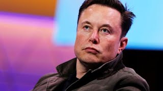 Could Tesla survive without Elon Musk at the helm? Experts discuss