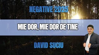 David Suciu - Mie dor, mie dor de Tine - Negative 2025