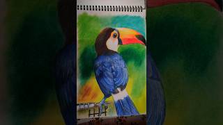 easy realistic bird drawing #pencildrawing #youtubeshorts#art #viral #trending#shorts#birds #drawing